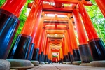 Why Are Torii Gates Red?