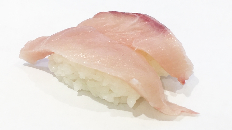 buri, hamachi