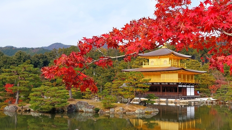 The autumn leaves and Kinkaku-ji