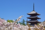 Ninna-ji Temple